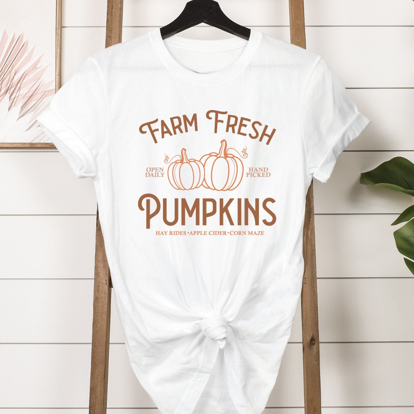 Farm Fresh Pumpkins